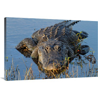 Ready for Action-Canvas Art-40"x26.8"