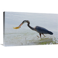 Wading the Waters-Canvas Art-30&quotx18.9"