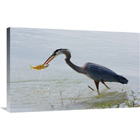 Wading the Waters-Canvas Art-36"x22.68"