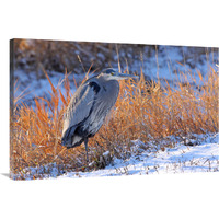 Heron in Winter I-Canvas Art-40"x26.8"