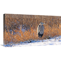 Heron in Winter II-Canvas Art-30"x17.4"