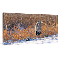 Heron in Winter II-Canvas Art-40&quotx23.2"