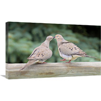 The Love Birds-Canvas Art-30"x18"