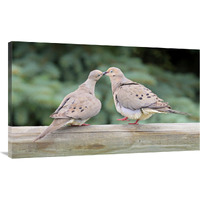 The Love Birds-Canvas Art-44&quotx26.4"