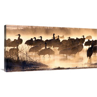 Twilight Gathering-Canvas Art-40"x20"