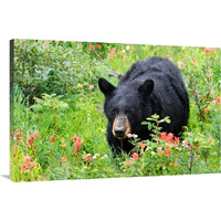 Wildflower Bear-Canvas Art-40"x26.8"