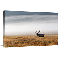 Foggy Morning-Canvas Art-30"x20.1"