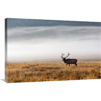 Foggy Morning-Canvas Art-36"x24.12"