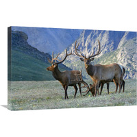 In the Mountains-Canvas Art-30"x19.5"