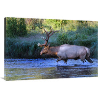 Crossing the River-Canvas Art-40"x26.8"