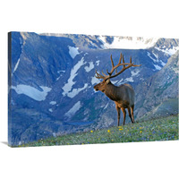 The Call of the Mountains-Canvas Art-40"x26.8"