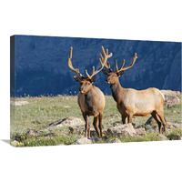 High Prairie-Canvas Art-30"x19.5"