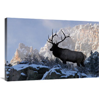 King of the Mountain-Canvas Art-36"x24.12"