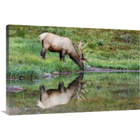 Reflections-Canvas Art-40&quotx26.8"