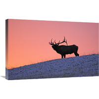 Winter Sunrise-Canvas Art-30"x19.5"