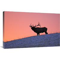 Winter Sunrise-Canvas Art-36"x23.4"