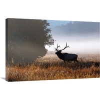 Rolling Mist-Canvas Art-30"x20.1"