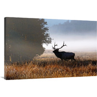 Rolling Mist-Canvas Art-40"x26.8"