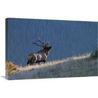 Evening Ridge-Canvas Art-30"x20.1"