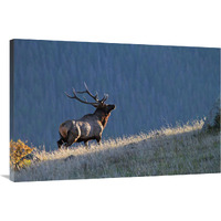 Evening Ridge-Canvas Art-40"x26.8"