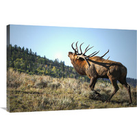 The Bull Challenger-Canvas Art-36&quotx24.12"