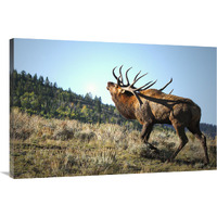 The Bull Challenger-Canvas Art-40"x26.8"