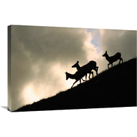 Night Ridgeline-Canvas Art-30"x20.1"