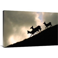 Night Ridgeline-Canvas Art-36&quotx24.12"