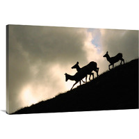 Night Ridgeline-Canvas Art-40"x26.8"