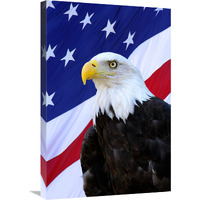 The Patriot-Canvas Art-20.1"x30"