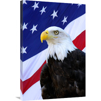 The Patriot-Canvas Art-24.12"x36"