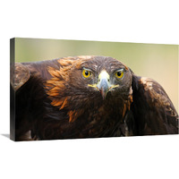 Ready for Flight-Canvas Art-30"x18.3"