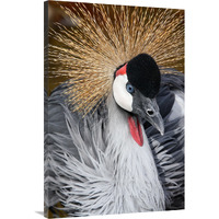 East African Crowned Crane-Canvas Art-26.8"x40"