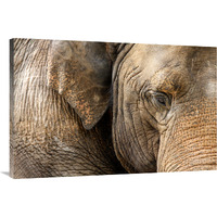 Eye of the Elephant-Canvas Art-40"x26.8"