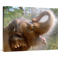 Elephant Bath-Canvas Art-36"x29.52"