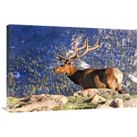 Velvet Above the Timberline-Canvas Art-36"x24.12"