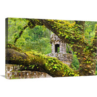 Enchanted Forest-Canvas Art-30"x20.1"