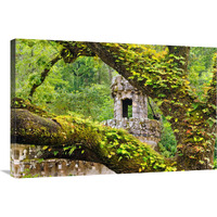 Enchanted Forest-Canvas Art-36&quotx24.12"