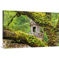 Enchanted Forest-Canvas Art-40"x26.8"