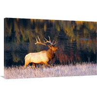 Fall Reflections-Canvas Art-44"x28.6"