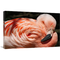 Flamingo-Canvas Art-30"x20.1"