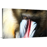 Male Mandral-Canvas Art-40&quotx26.8"