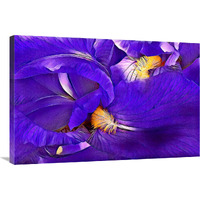 Purple Iris-Canvas Art-36"x24.12"