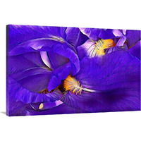 Purple Iris-Canvas Art-40"x26.8"