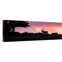 Red Sky at Night-Canvas Art-40"x14.4"