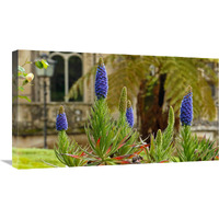 Sintra Gardens-Canvas Art-30&quotx17.1"