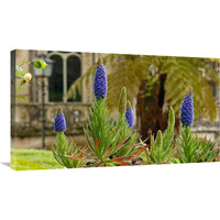 Sintra Gardens-Canvas Art-36"x20.52"