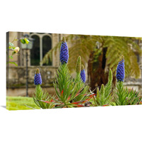 Sintra Gardens-Canvas Art-40"x22.8"