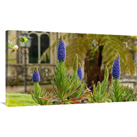 Sintra Gardens-Canvas Art-44"x25.08"