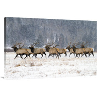 Band of Brothers in the Snow-Canvas Art-40"x26.8"